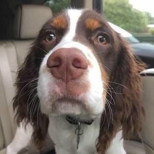 Meet your Posher, Shane